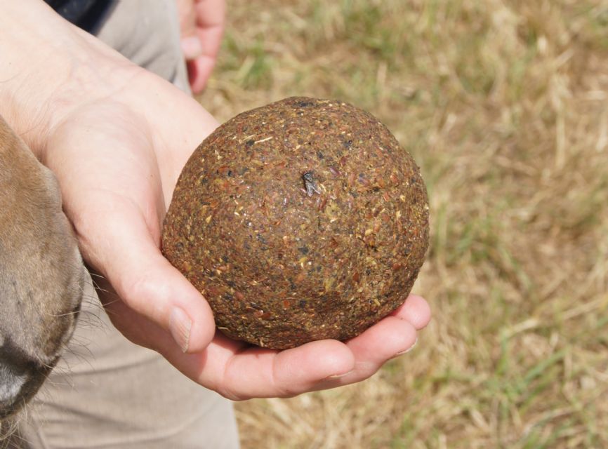 Total Eclipse Our Best Selling Forage Balancer